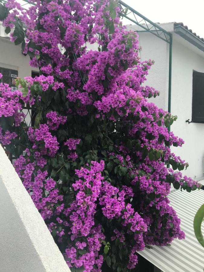 Sara Apartments Baška Voda Eksteriør bilde